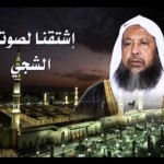 السيرة الذاتية وقصة الشيخ محمد أيوب امام المسجد النبوي